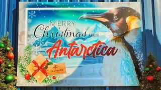 Experience the MAGIC of SeaWorld Orlando's Christmas Celebration in 4K