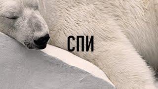 Часть 3. Тихая Музыка и Слово Божье: Спи с Библией