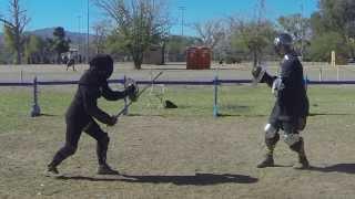 Cut And Thrust Swordfighting