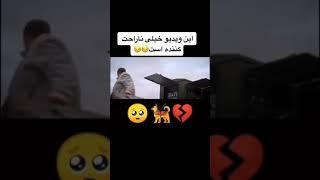 حیوانم ارزوست