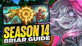 L0ganJGs SEASON 14 Challenger Briar GUIDE for Beginners | Runes, Builds, Pathing