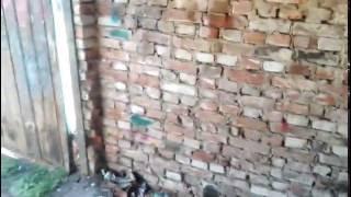 Штукатурка гаража-помогите советом!