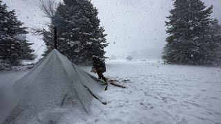 Caught in a Storm - Winter Camping in a Snowstorm with Dogs, Snow, Windy, Bad Weather