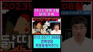 2023 양력 8월 닭띠 운세 사주상담  010.5571.9666 / 재물 운명 사주팔자 금전운 궁합 애정 운세 #shorts