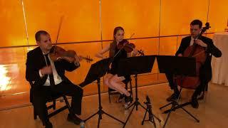 Wedding Musicians - String Trio in NYC