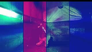 Gilligan Matt -Bright Lights Music/Dance Video`
