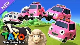 Pink Animal Rescue Team | Tayo Rescue Team Song | RESCUE TAYO | Song for Kids | Tayo the Little Bus