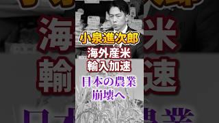 [Shinjiro Koizumi | Koizumi Rice] Accelerating rice imports | Accelerating agricultural destructi...