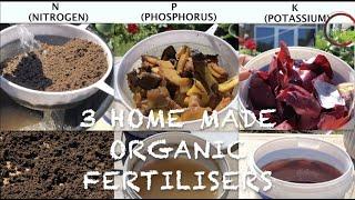 How to make - 3 Homemade ORGANIC FERTILISERS in 4 minutes - NPK - Homemade Fertilizer - 100% results