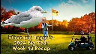 Ethan and Ingrid's 2024 Big Year (Week 43)