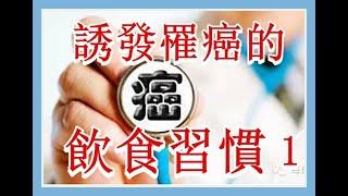 誘發罹癌的飲食習慣  ！切勿再犯！（癌 11a）（有字 幕）
