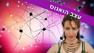 עצב הואגוס - מה זה בדיוק ולמה חשוב לחזק אותו