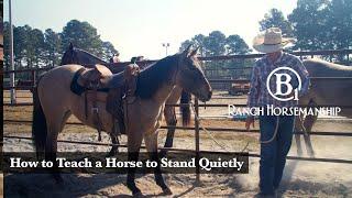 How to Teach a Horse to Stand Quietly Preview