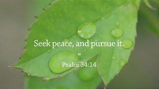 Seek Peace and Pursue It