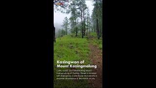 Kazingwon of Mt. Kazingmalung (Pushing) // New tourist destination of Ukhrul - Kamjong