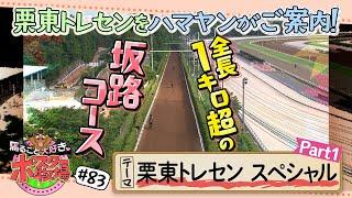 馬るごと大好きポスター牧場　第８３話「栗東トレーニング・センター～Ｐａｒｔ１～」