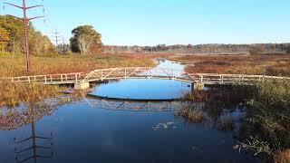 Little Pond Boardwalk Trail at White Memorial Conservation Center, Litchfield, CT