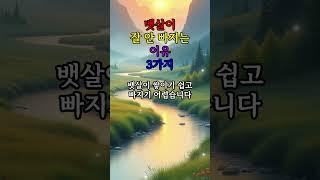뱃살이 잘 안 빠지는 이유 3가지 #좋은글 #건강 #지혜 #철학