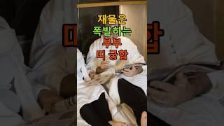 재물운 폭발하는 부부 띠 궁합 #오늘의운세 #행운 #운세 #재물운 #재물운상승 #토정비결 #풍수 #풍수 #띠별운세