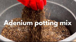 Adenium potting mix