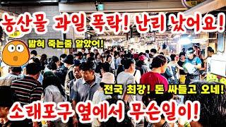 농산물 과일 폭락에! 난리가 났어요! 제발 그만오세요! 전국 최강! 밟혀 죽는줄 알았어요! #시장 #먹거리 #쇼핑 #세일 #할인 #food #fishing #먹방 #다이어트식단
