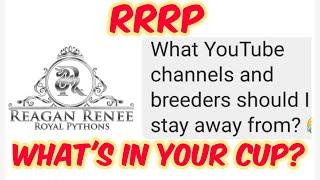Reagan Renee Royal Pythons What's in your cup? Episode 79