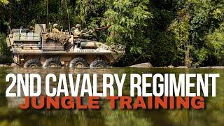 ADF | Cavalry comes to grips with jungle conditions