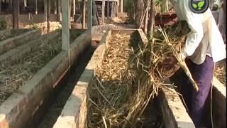 Earthworm Compost or Vermi Compost