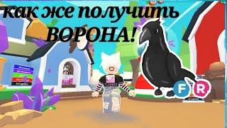 Как получить Ворона в Adopt me  #roblox #adopt me