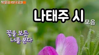 자세히 보아야 예쁘다 ㅣ 나태주 시 모음 19편 ㅣ 풀꽃외