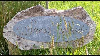 June 2024 - update from our farm