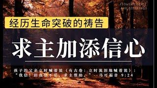 经历生命突破的祷告| 求主加添信心|禱告時光|我们能以得着并且不失了信心，都是因为你才是为我们信心创始成终的那一位啊，你也在我们的软弱过犯之处，为我们祷告，使我们不至失了信心|睡前祷告 内室晚祷#祷告