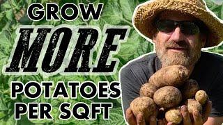 Growing Potatoes In Buckets, Bags & Containers