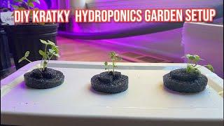 DIY Kratky Hydroponics Garden Setup