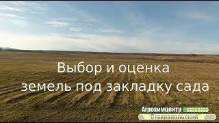 Выбор и оценка земель под закладку сада в Ставропольском крае
