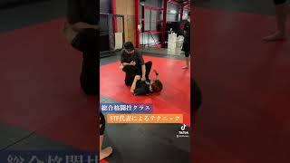 #総合格闘技 #mma #テクニック #stf