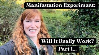 Manifesting Freedom: Testing 5 Steps to Create the Life You Want | My Van Life Experiment (Part 1)