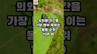 의외로 인간을 가장 많이 죽이는 동물 순위 TOP 10