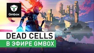 Рустам Касумов и Святослав Бочаров играют в Dead Cells