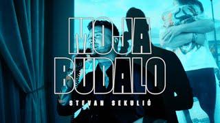 STEVAN SEKULIC - MOJA BUDALO (OFFICIAL VIDEO 2023)