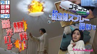 【ザ！世界仰天ニュース】大っ嫌いな "アイツ" を始末して大爆発！