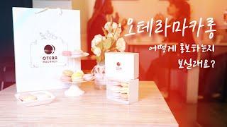 사계절 한결같은 오테라마카롱 - 감독판