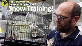 The Canary Room Season 4 Episode 19 - Show Training!