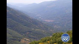 How is life in Extremadura? Wild paradise under the laws of nature (FULL DOCUMENTARY)