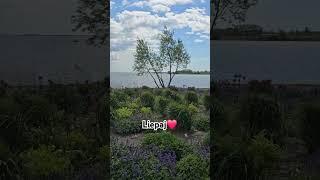 Прогулка со Скаем.  Любим свой город! ️ #Город #Прогулка #Собака #Счастье#germanshepherd
