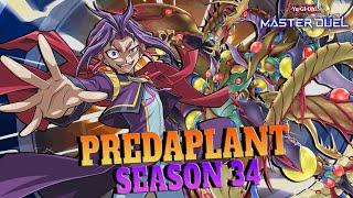 Predaplant Against META! - Yu-Gi-Oh! Master Duel Season 34 