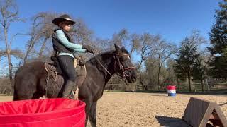 Gaited Horse Training -  Hand Position