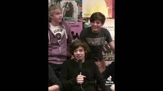 fetus harry and louis being adorable for 2 minutes and 15 seconds