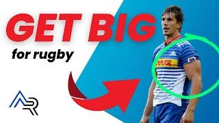 Train Like A Pro Rugby Player | Upper Body Rugby Gym Workout [ Axe Rugby ]