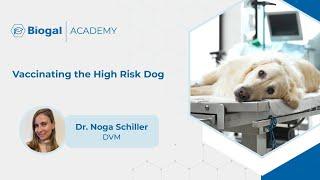 Vaccinating the High Risk Dog